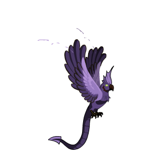 Purple Dragon’s Parrot Pet
