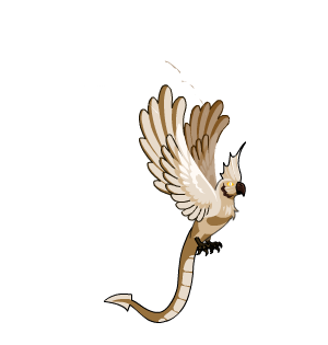 White Dragon’s Parrot Pet