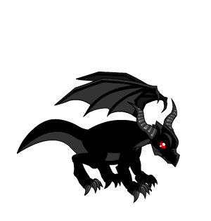 Baby Black Dragon