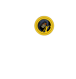 Coin of Nulgath (Rare)