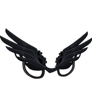 Shadow Infinity Wings