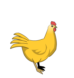 Golden Chicken Pet