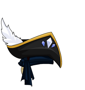 Dark Seas Pirate Hat