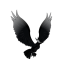 Black Fire Raven