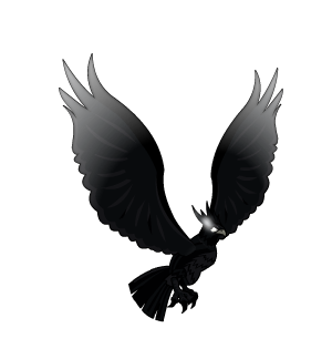 Black Fire Raven