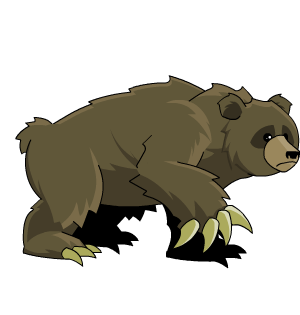 Grizzly Bear