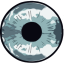 Perception of the Six Eyes